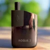 Healthy Rips Rogue 2